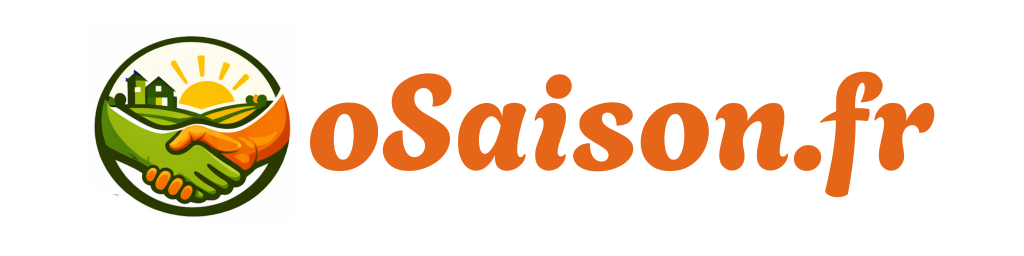 oSaison logo